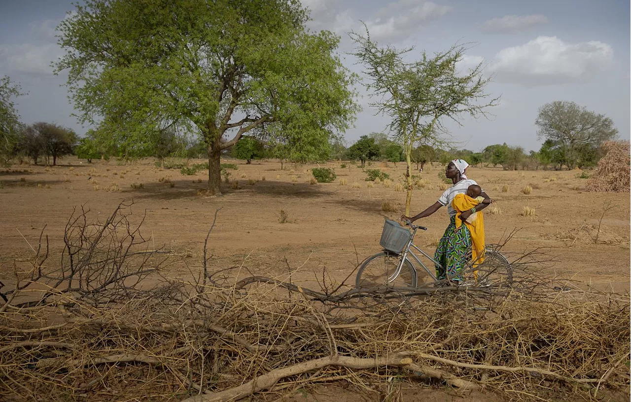 Afrique : Derrière la vague de chaleur si meurtrière au Sahel, un changement climatique « d’origine humaine »