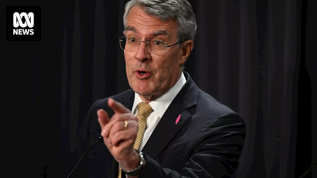 Attorney-General Mark Dreyfus says men need to 'step up' in domestic violence crisis