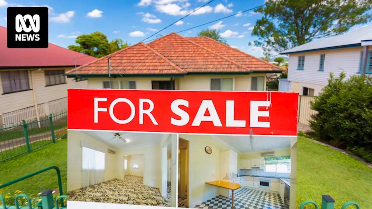 Rushed buyers at risk of purchasing homes with termites and structural issues, inspector warns