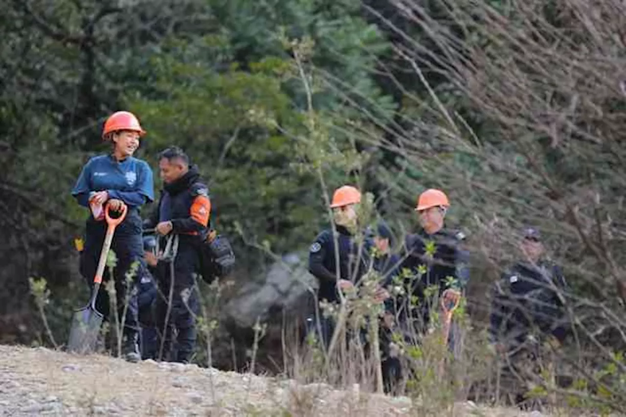 Incendio en Río Blanco-Nogales, con 75% de control y un 60% de liquidación