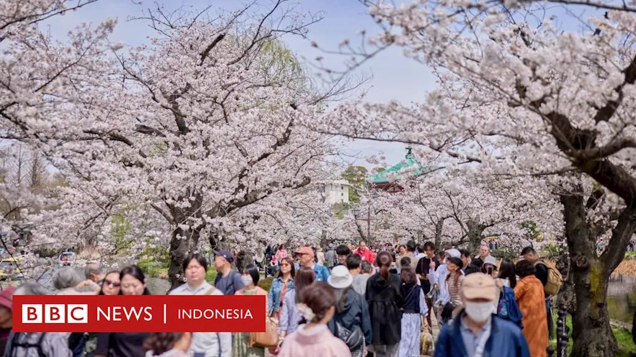 Pariwisata: Kelakuan turis Indonesia viral di Jepang dan Singapura, warganet mengecam