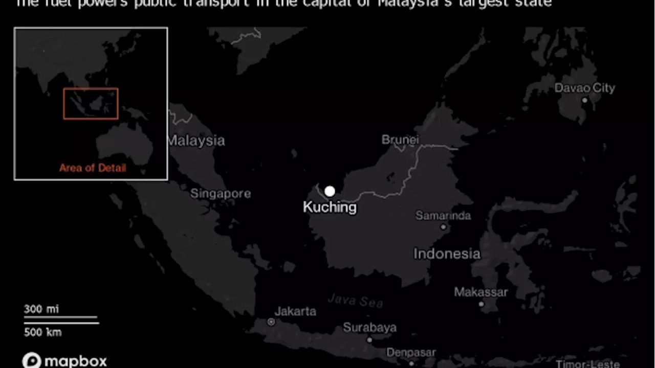 Clean Hydrogen’s Best Bet May Be a Rainforest State in Borneo