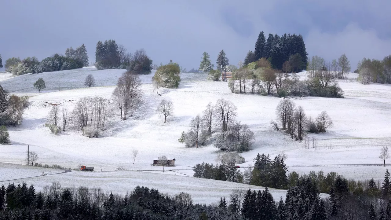 Wetter in Bayern: Schnee, Kälte und Regen - der Winter ist zurück