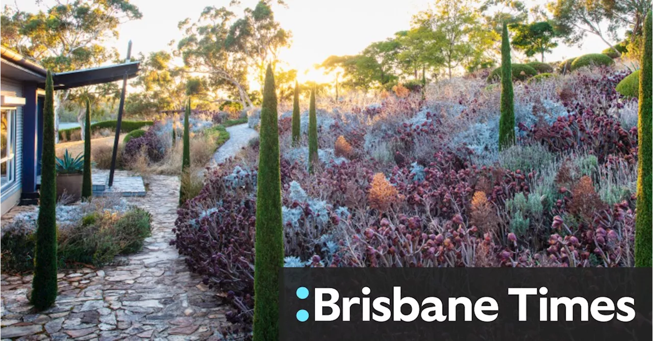 Train stations and car parks: The gardens proving beauty can be found anywhere