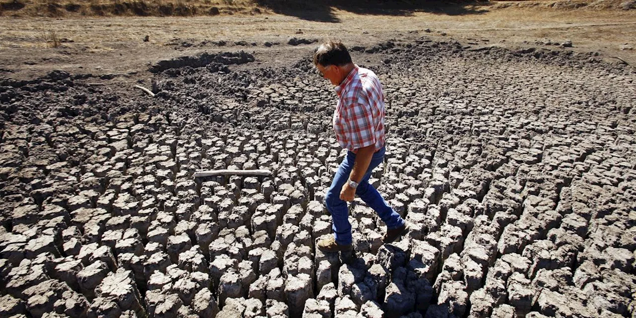 Climate Crisis to Cost Global Economy $38 Trillion a Year by 2050