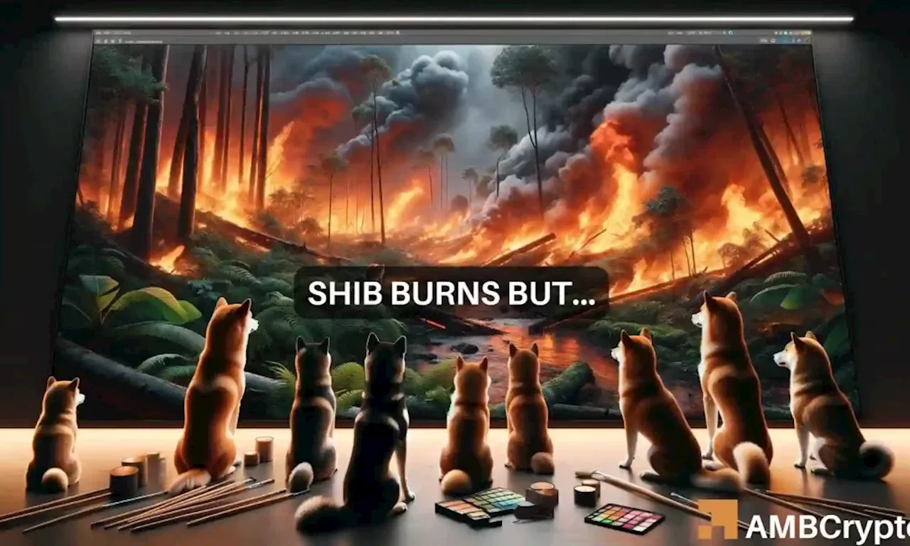 Shiba Inu burns 798M tokens – Is this next for SHIB’s price now?