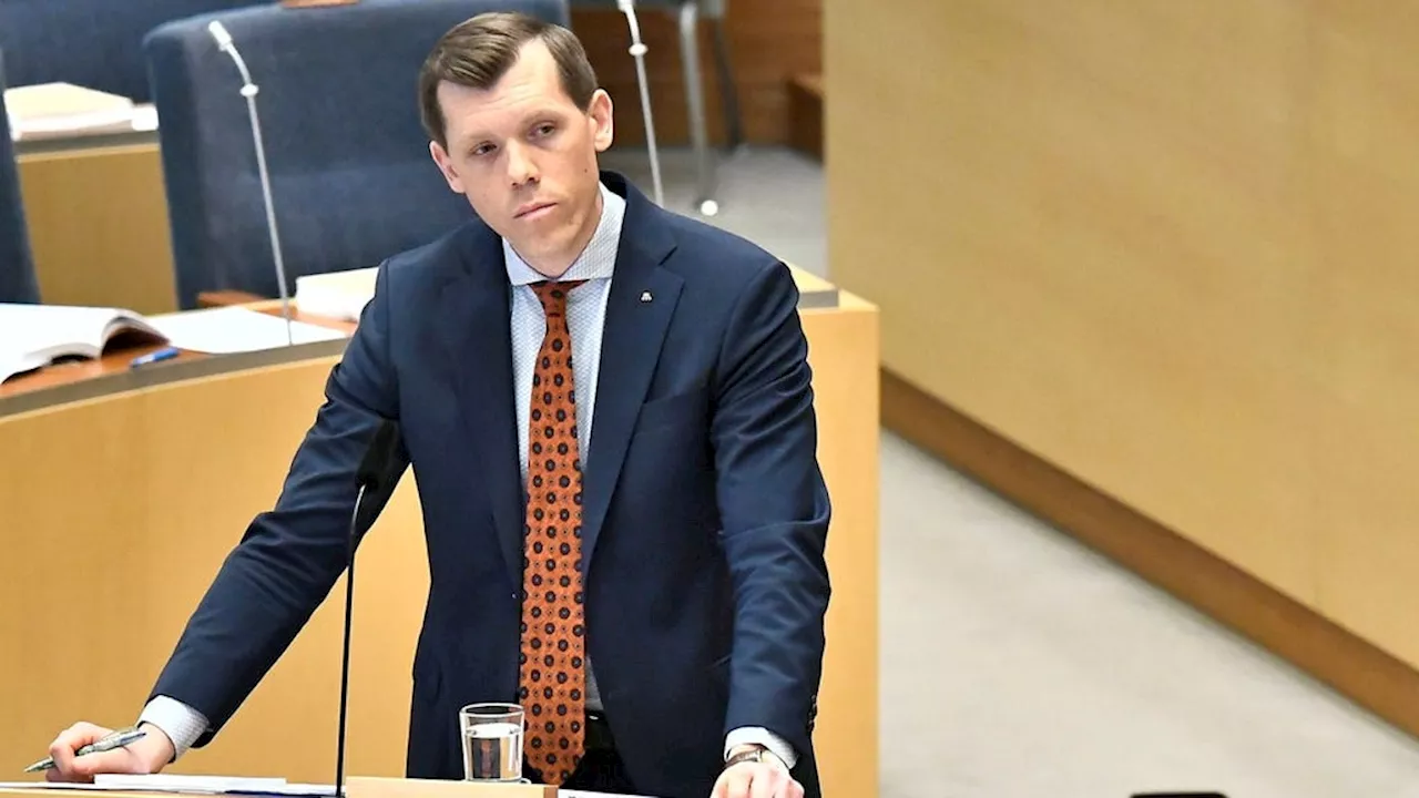 Nu fick vi se vad Moderaterna också skulle kunna vara