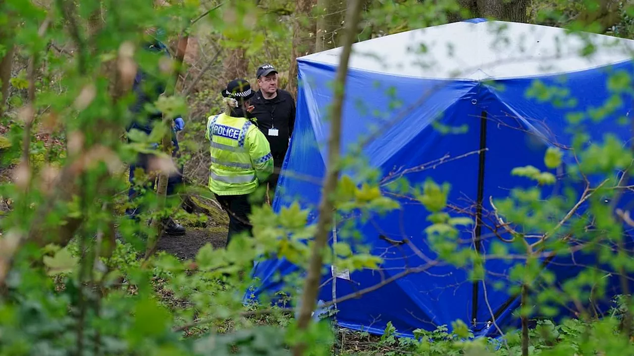 Children played just yards from where headless torso was found at nature reserve, police reveal