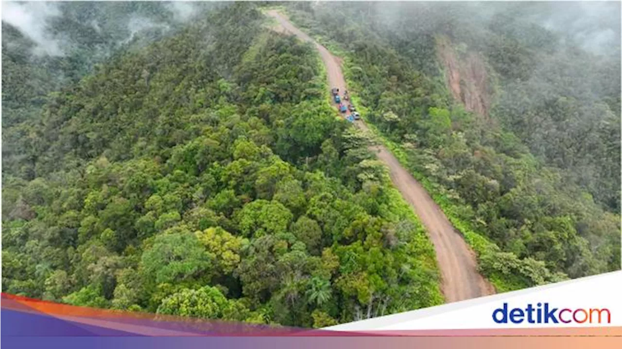 Jalan Trans Papua Segmen Mamberamo-Elelim Senilai Rp 3,3 T Segera Dibangun