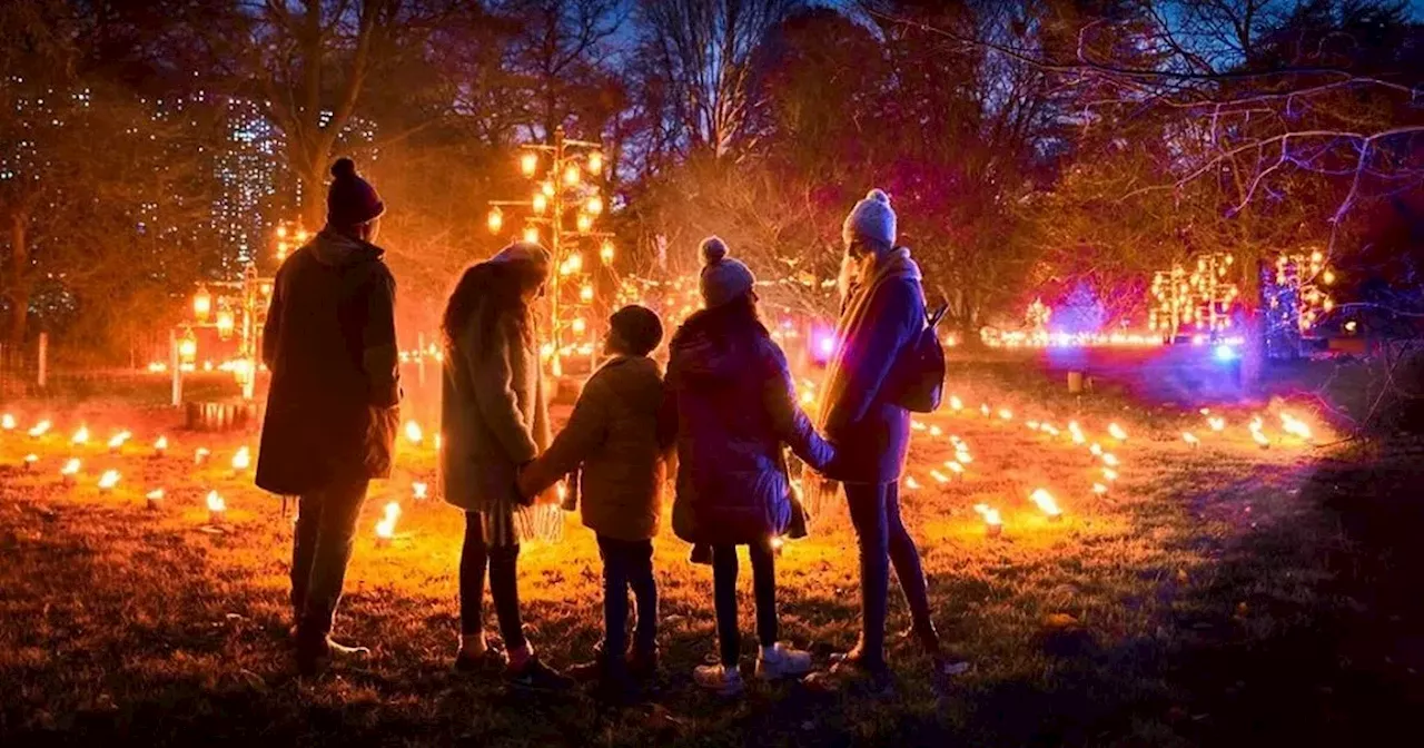 Chester Zoo's Lanterns and Lights trail returning with new additions