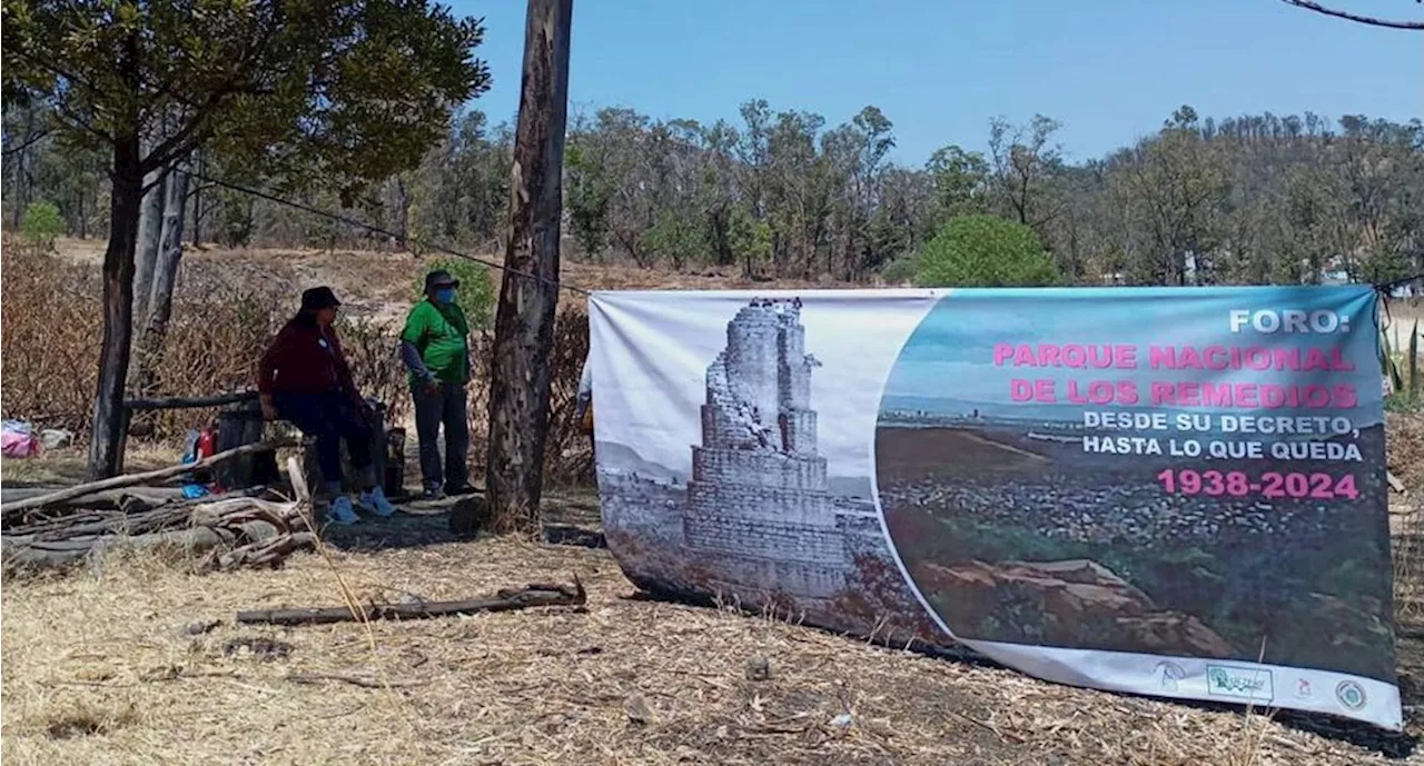 Parque Nacional Los Remedios cumple 86 años y ha perdido el 79% de su superficie original