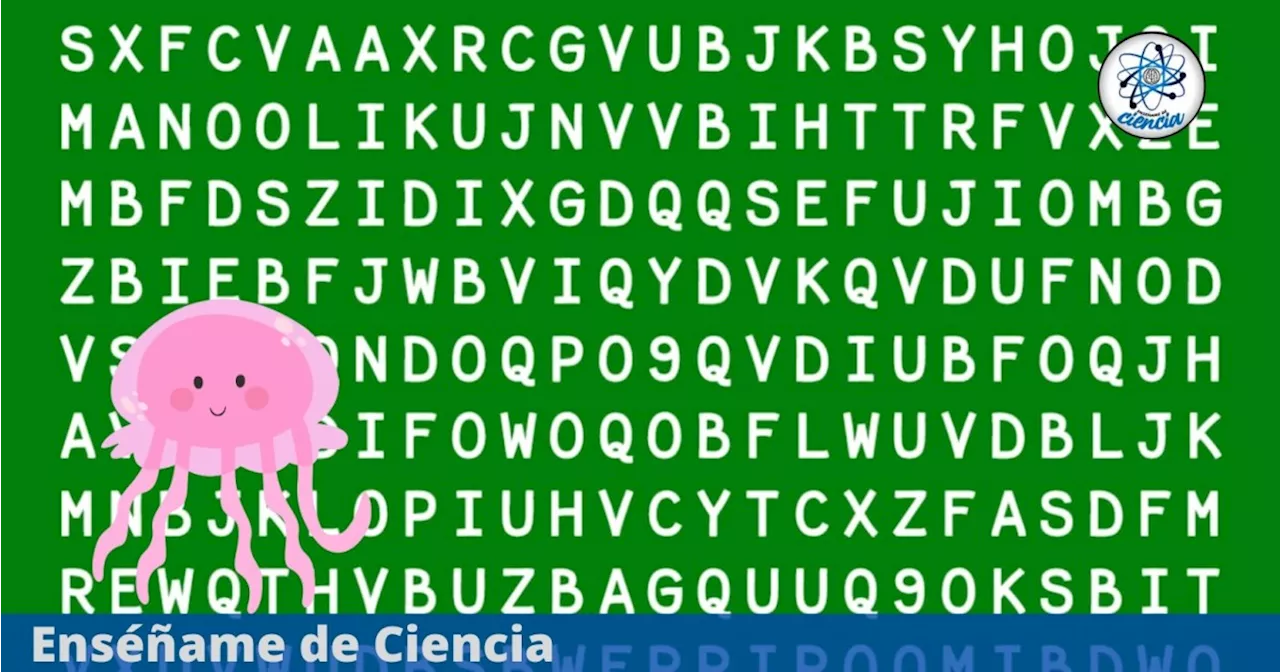 Acertijo visual PRO: Solo una mente HÁBIL puede encontrar la palabra “MEDUSA” escondida en la sopa de letras