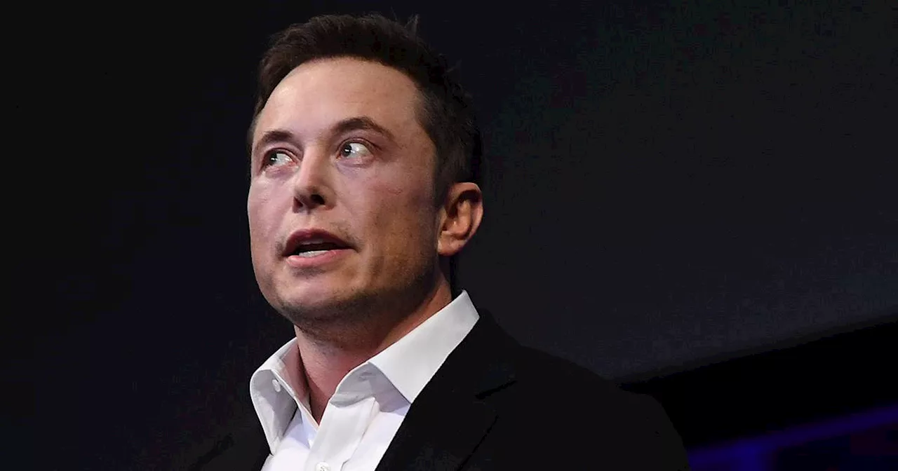 ¿El fin de una era? La crisis de Tesla y Elon Musk se sale de control entre despidos y demandas