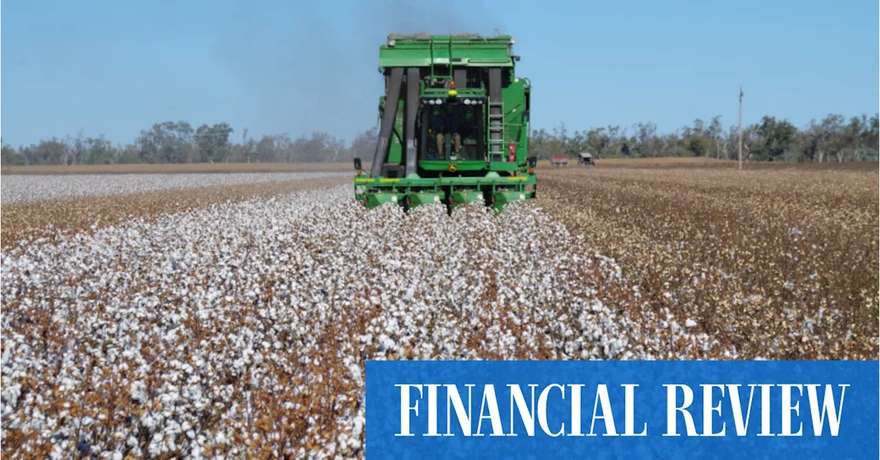 The takeover: Louis Dreyfus bankers up for Namoi Cotton fight