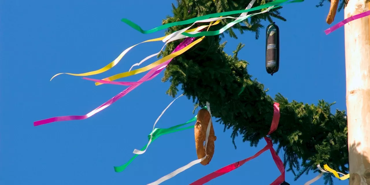 Der Maibaum: Woher die Tradition stammt und warum man ihn aufstellt