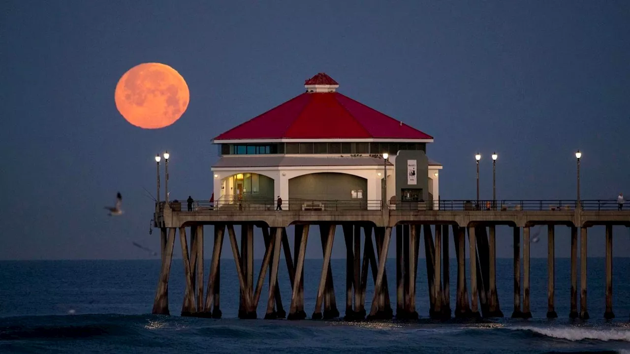 Exactly When To See The Full ‘Pink Moon’ Rise From Where You Are