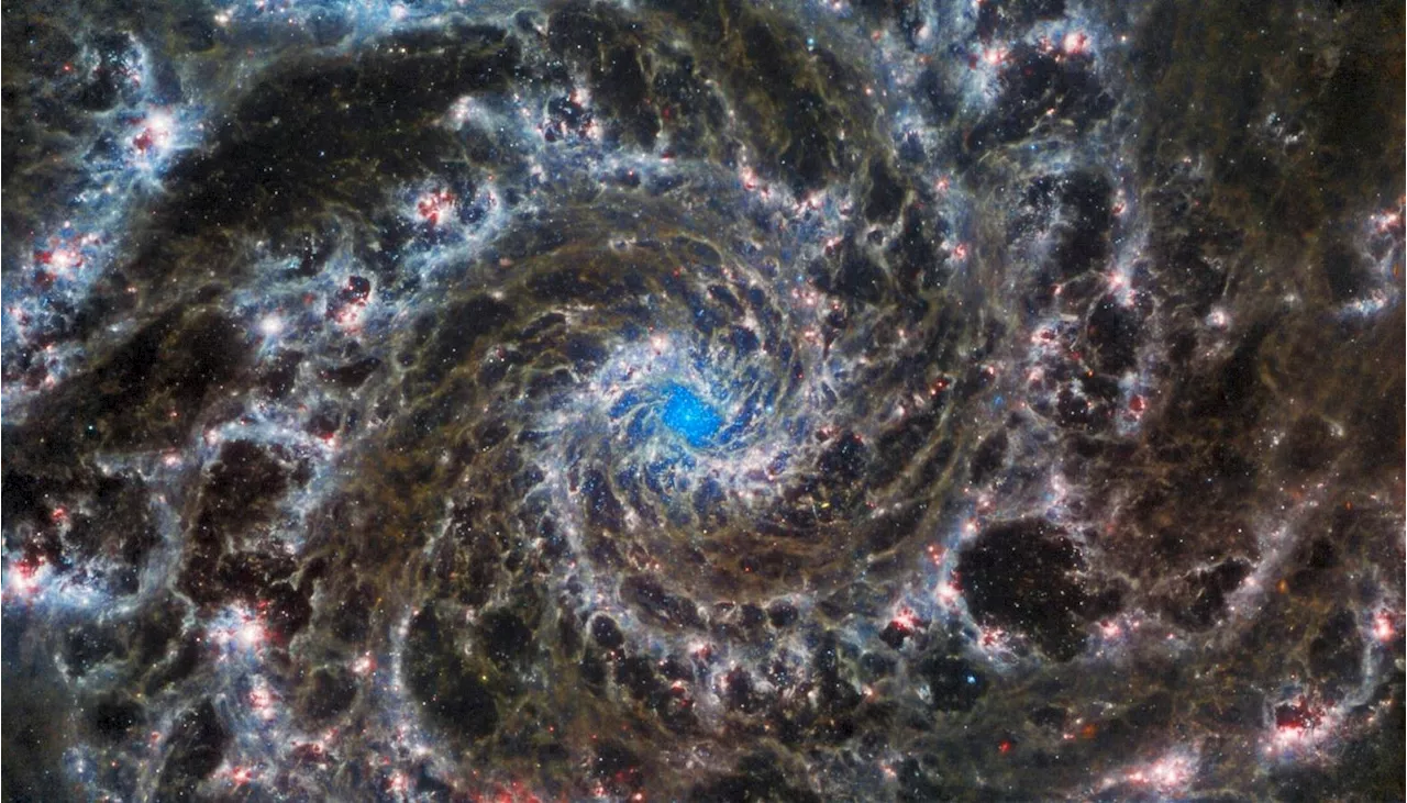 Exploring New Worlds: ‘Deep Sky’ And The Search For Life With The JWST