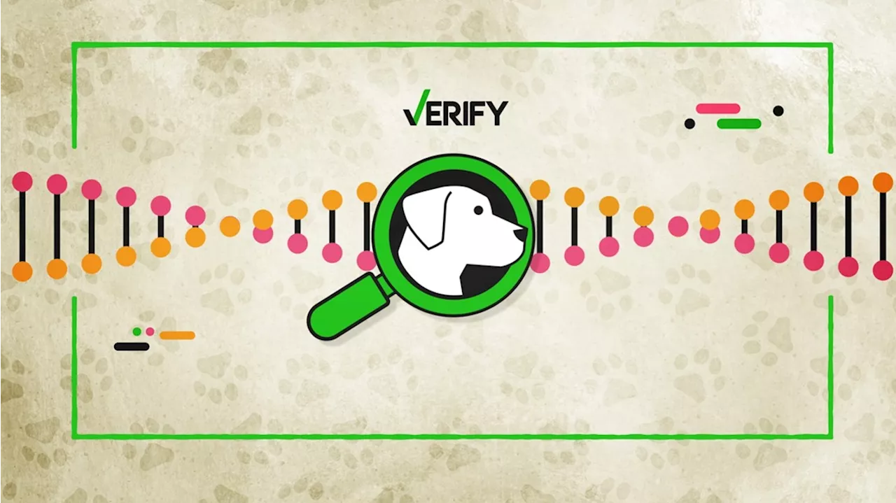 Decoding dog DNA tests