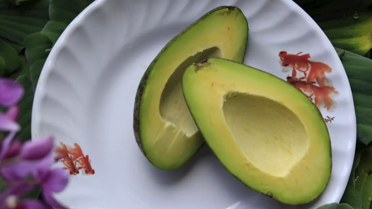 Avocado: il difensore di cuore e muscoli, utile anche al recupero post allenamento