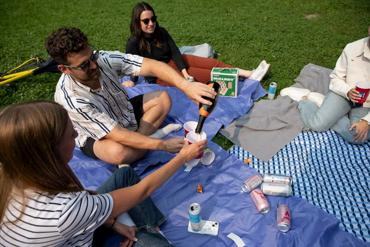 Toronto city council expands legal drinking in parks over objections of some