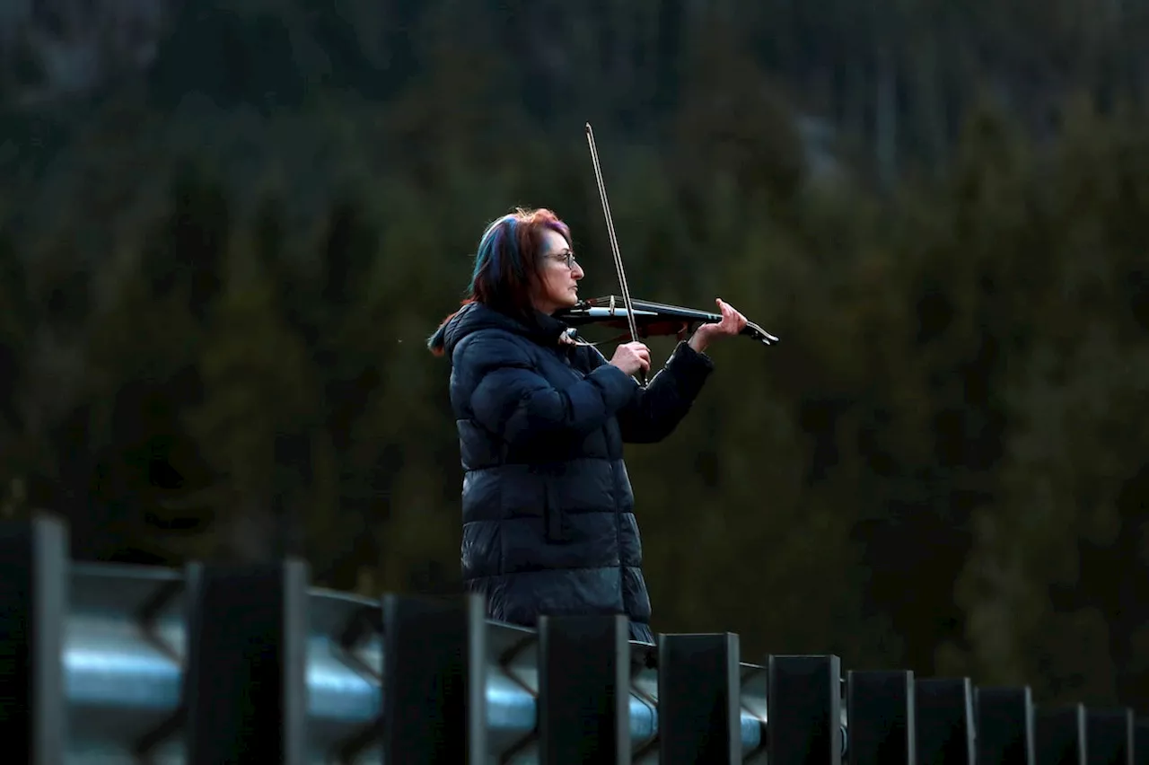 Violinist tries to serenade B.C. orca calf to freedom, as others ready nets and boats