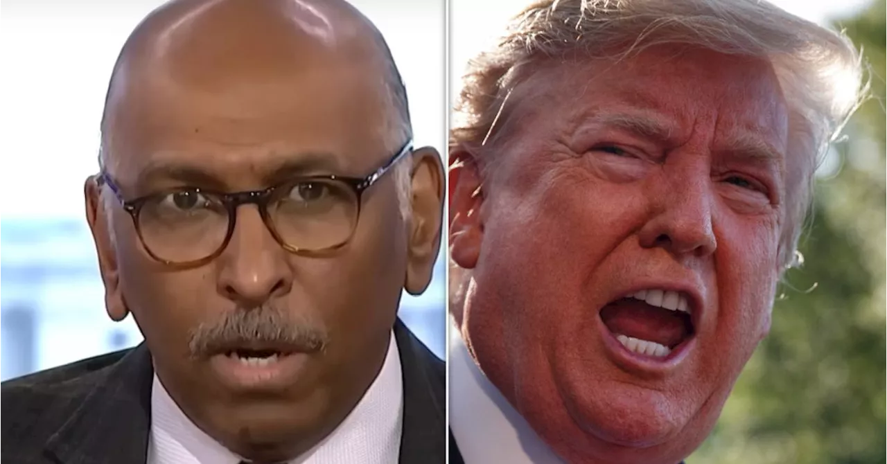 Ex-RNC Chair Michael Steele Trolls Trump With 'Extremely Good News' About Jail