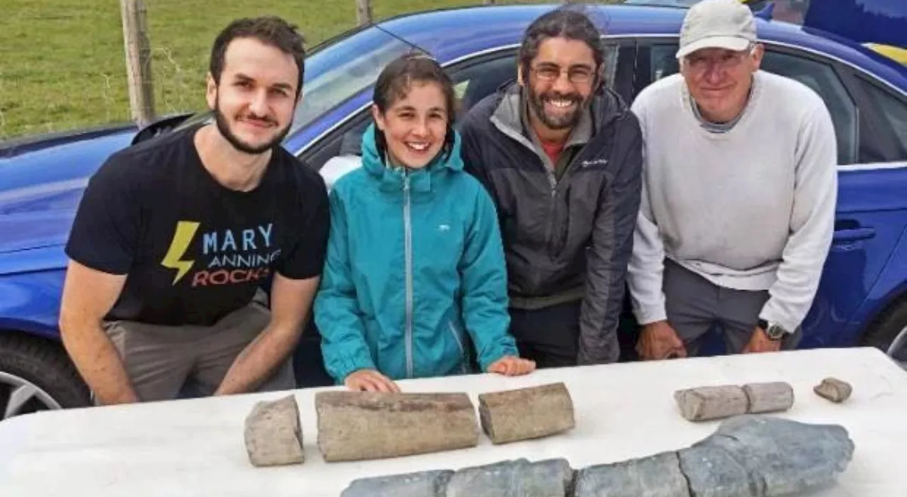 Bambina di 11 anni trova un fossile sulla spiaggia, poi la scoperta: è un Ittiosauro di 200 milioni di anni fa