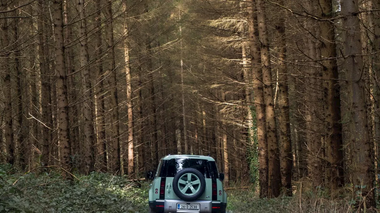 Above and Beyond: Lizzie Gore-Grime’s off-roading adventure in Co Wicklow