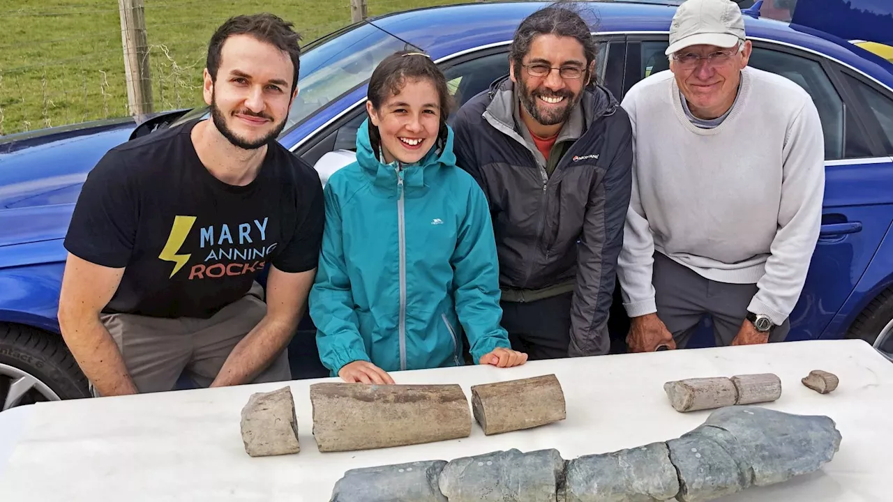 Father and daughter find fossil of gigantic sea creature on a Somerset beach