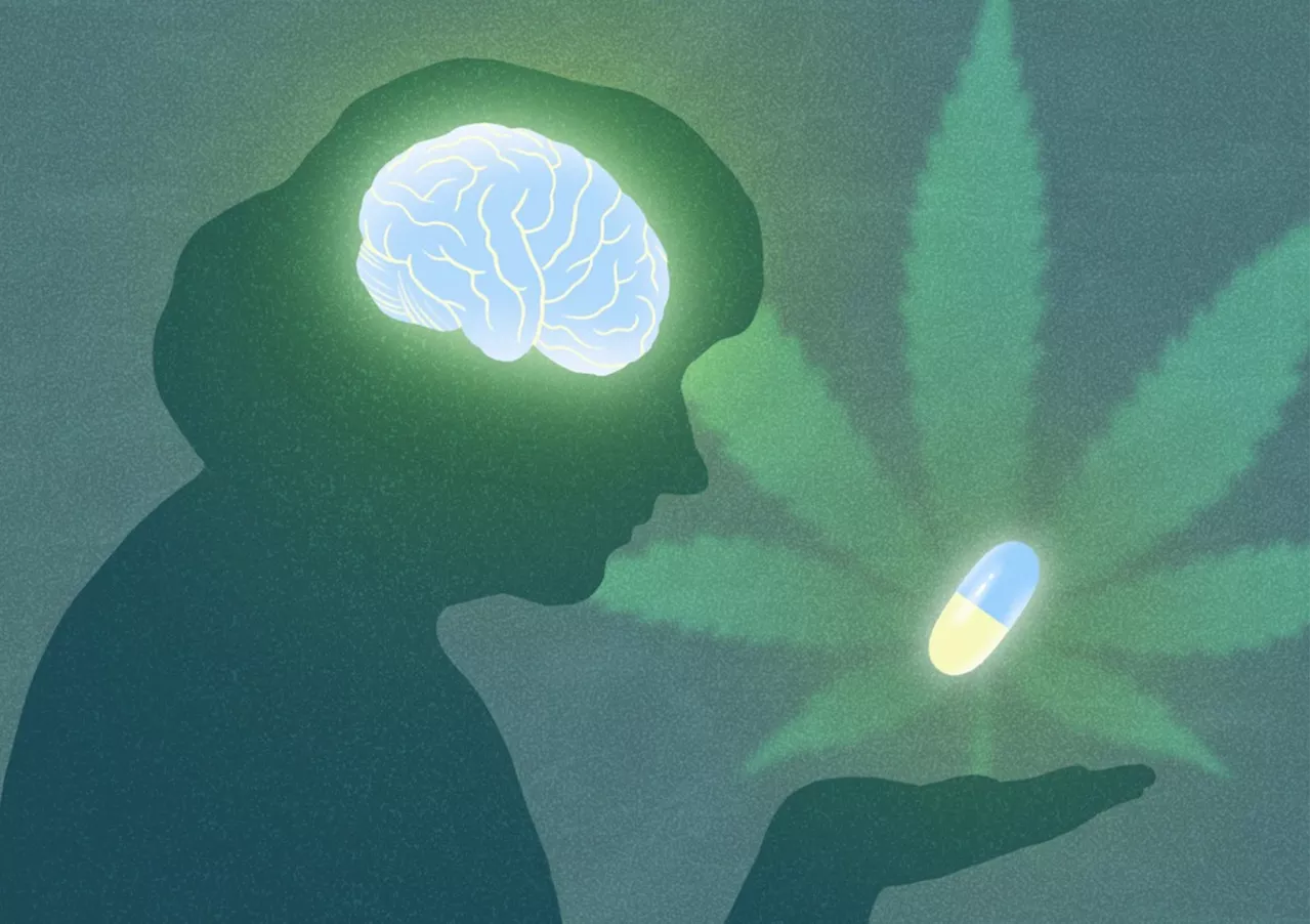 Alzheimer: estudo desvenda como um composto menos conhecido da Cannabis pode proteger o cérebro; entenda