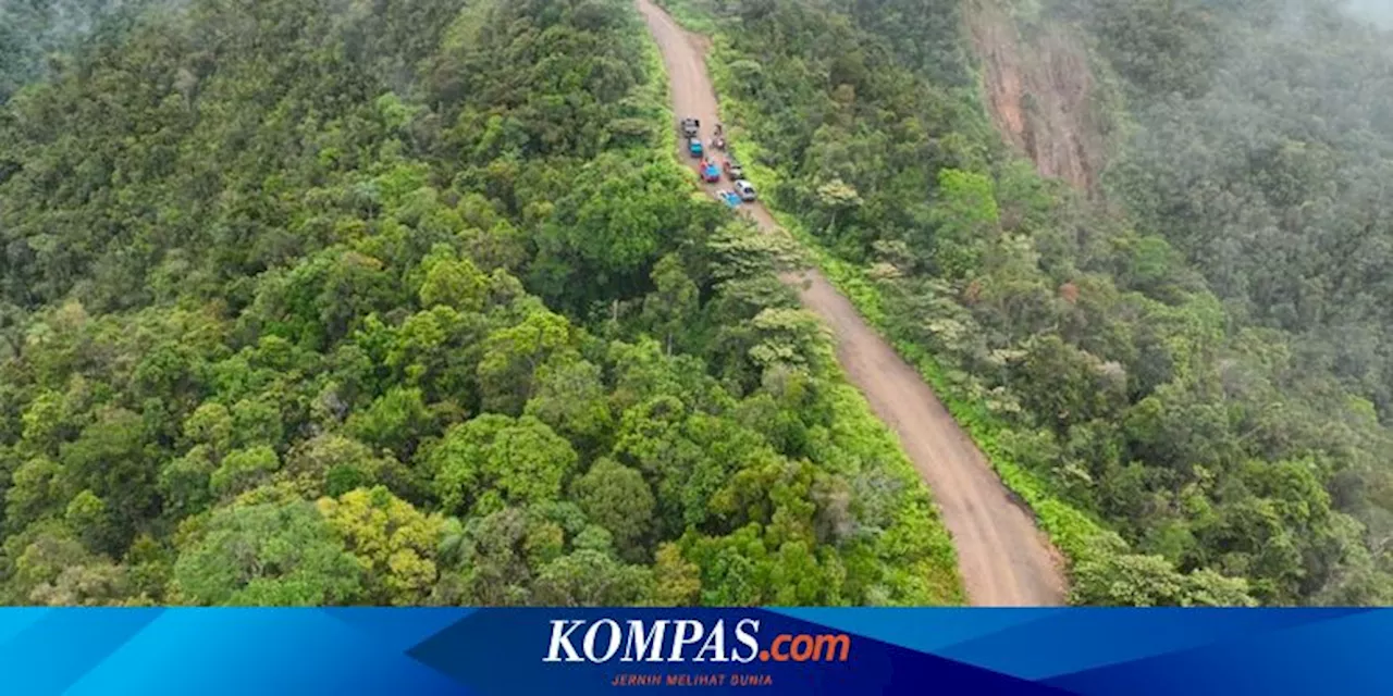 Segera Dibangun, Proyek Jalan Trans-Papua Segmen Mamberamo-Elelim