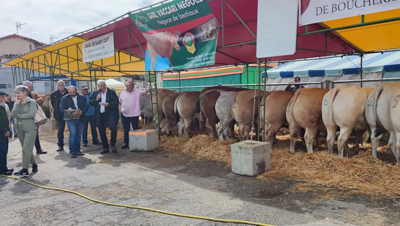 Foire de printemps à Mazères : deux jours pour découvrir la plus grande ferme d’Ariège