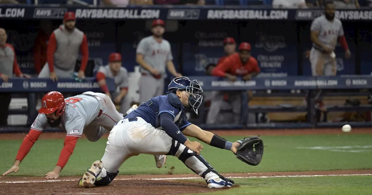 Anthony Rendon, Taylor Ward help Angels rally past the Rays