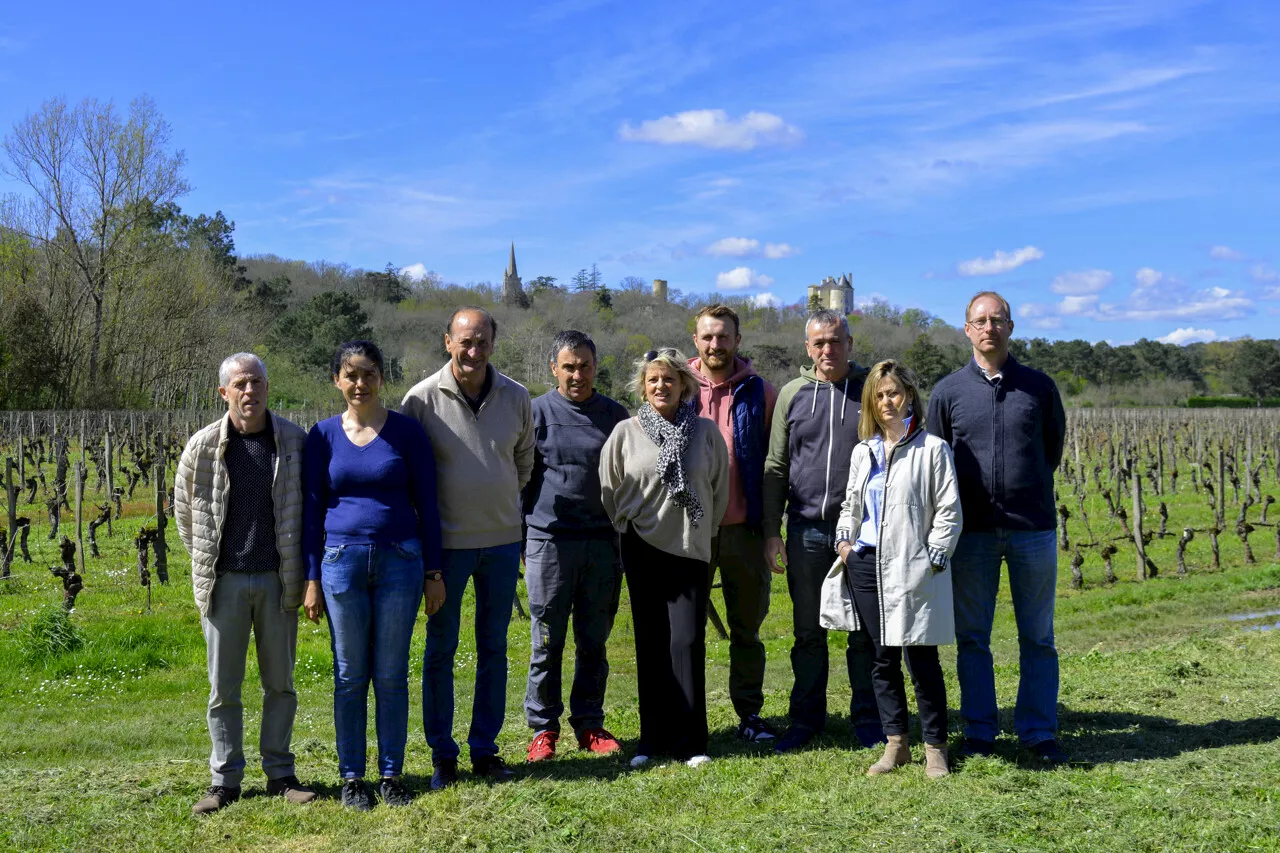 Lot-et-Garonne : nouvelle gouvernance chez les Vignerons de Buzet | Le Républicain Lot-et-Garonne