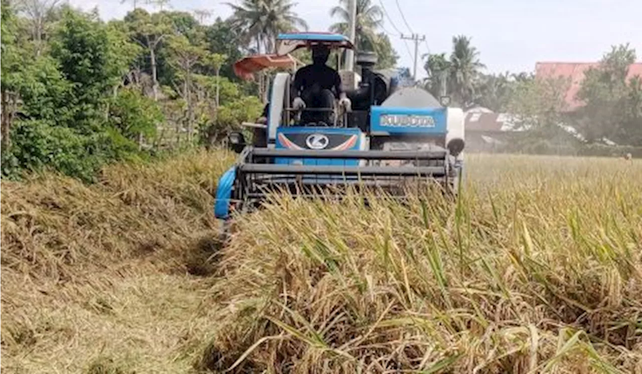 Panen Beras 4,9 Juta Ton di Bulan Ini, Bapanas Minta Bulog Jemput Bola