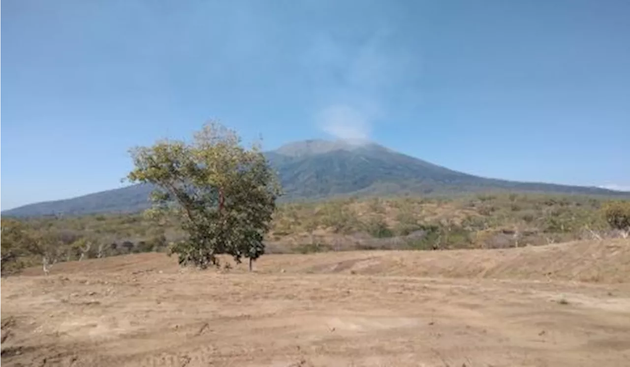 Waspada, Aliran Lava Gunung Lewotolok Capai 4,3 Kilometer