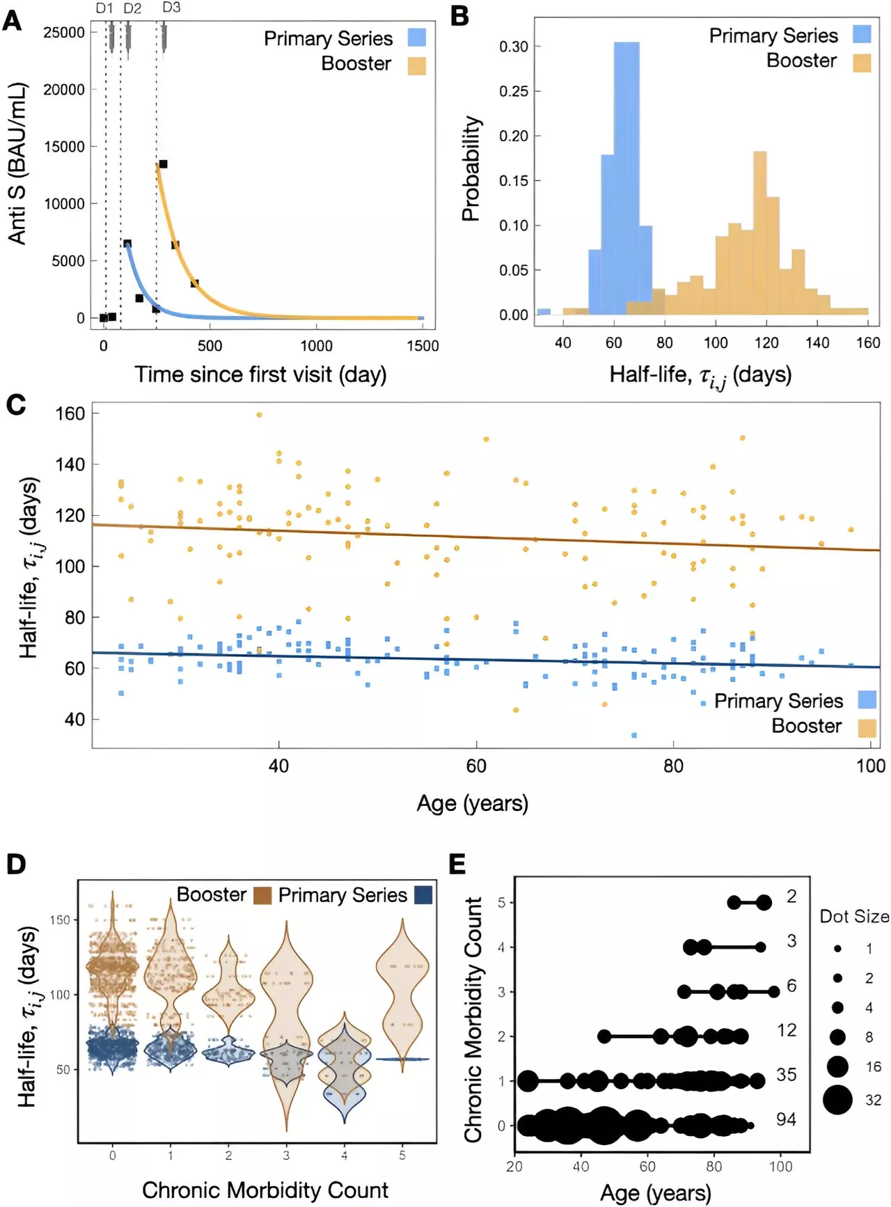 COVID-19 booster immunity lasts much longer than primary series alone, study shows