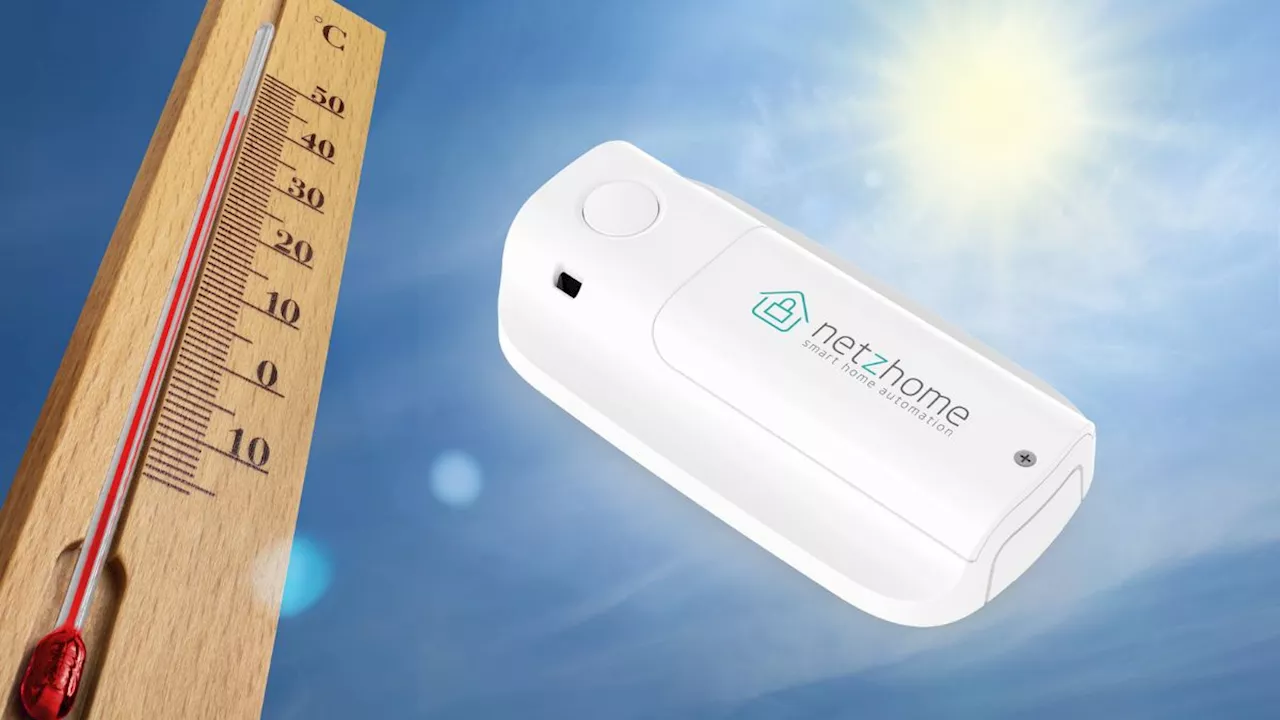 Netzhome: Las ventajas de un sensor de temperatura ante la ola de calor