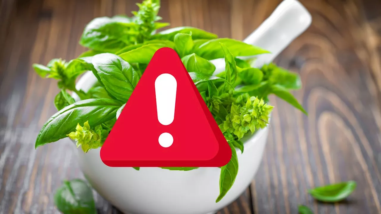 Trader Joe’s recall April 2024. Basil recalled due to risk of salmonella outbreak