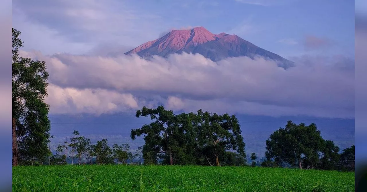 4 Kebun Teh Indah di Sumatra Barat, Ada yang Menjadi Produsen Teh Terbesar Hingga Spot Agrowisata