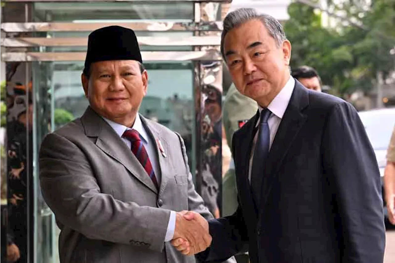 China FM Wang meets Indonesian president