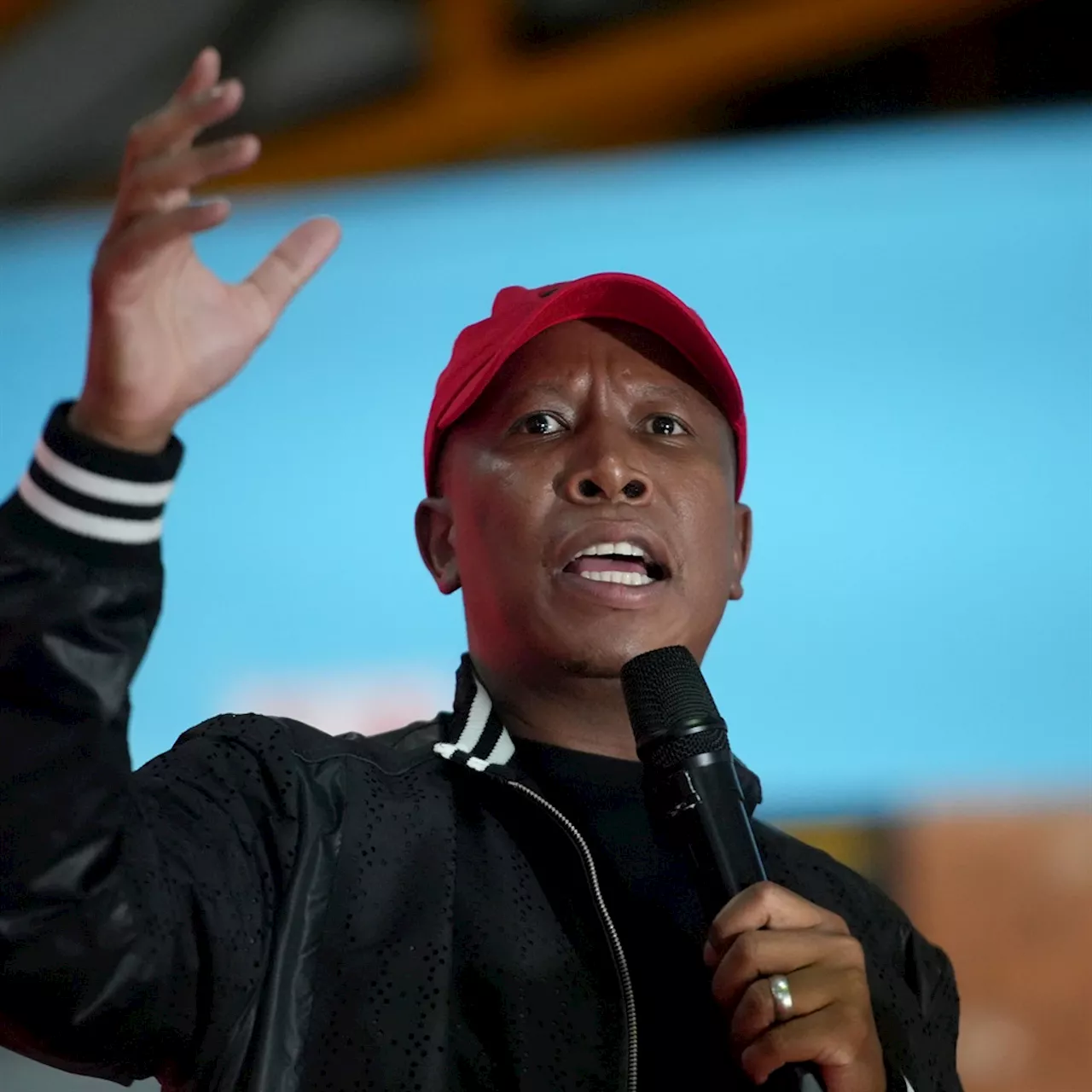 Julius Malema courts Jacob Zuma, and criticises Mandela