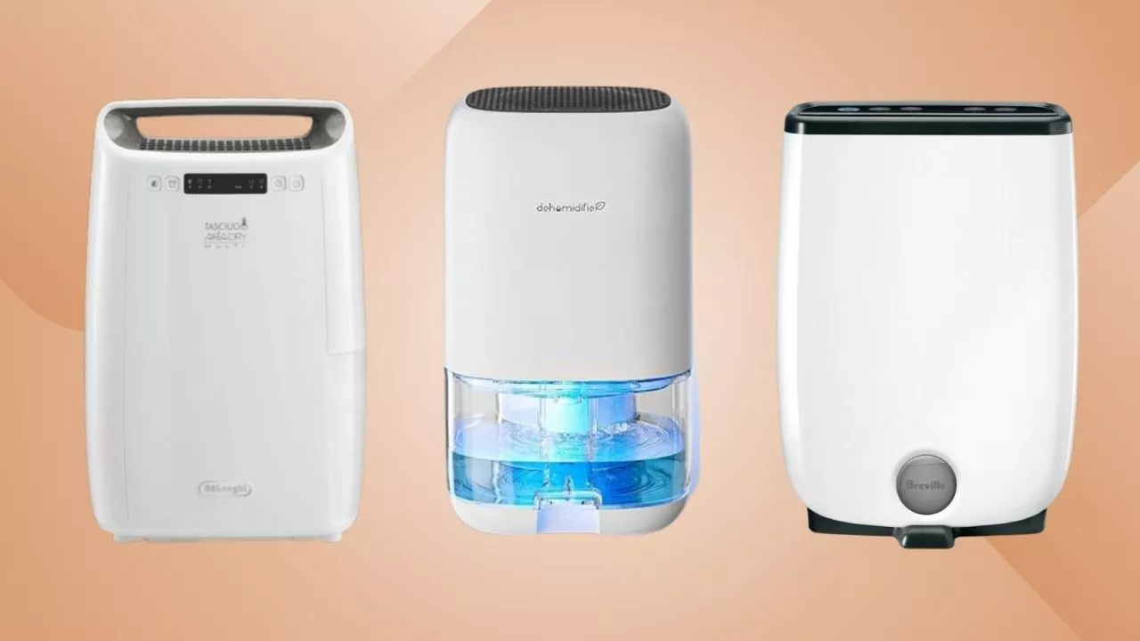 ‘Game changer’: Top-rated dehumidifiers for your home