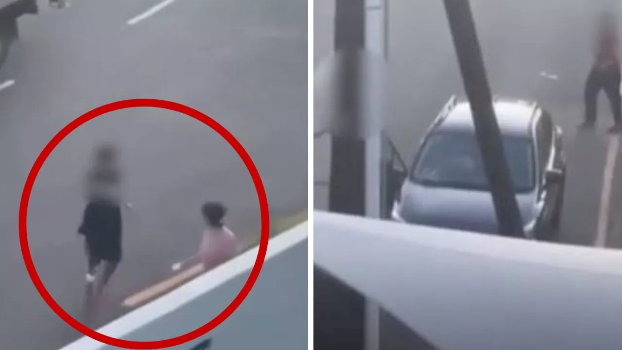 Terrifying video of alleged carjacking