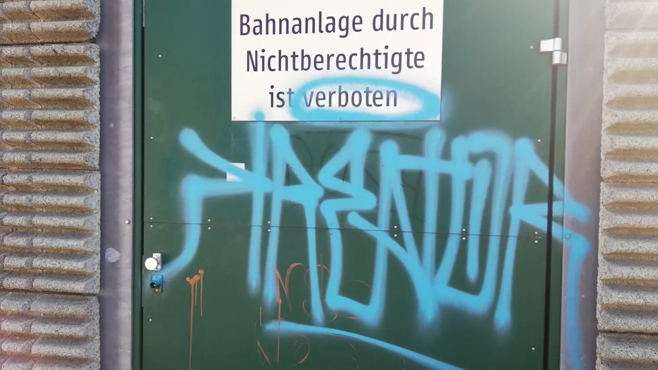 „Er ist leider nicht der Banksy von Tulln“: Sprayer vor Gericht