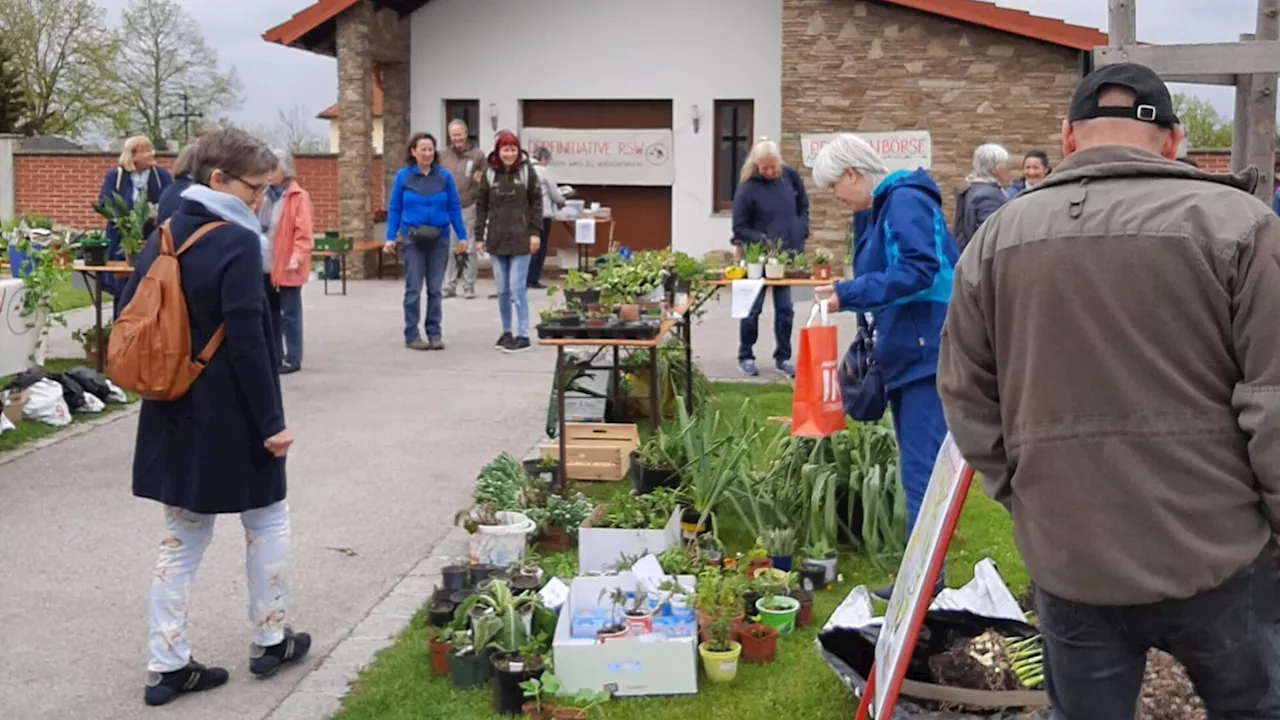 Pflanzen tauschen in Regelsbrunn