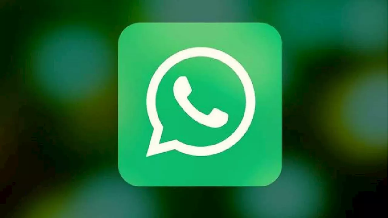 WhatsApp cambió de color y los usuarios expresaron su molestia en redes sociales