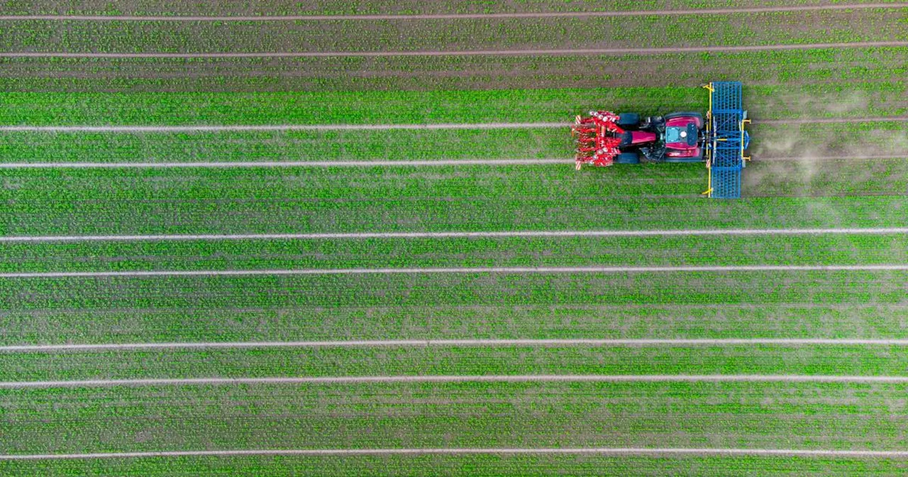 Mehr Bauern setzen auf Öko-Landwirtschaft und Tierhaltung