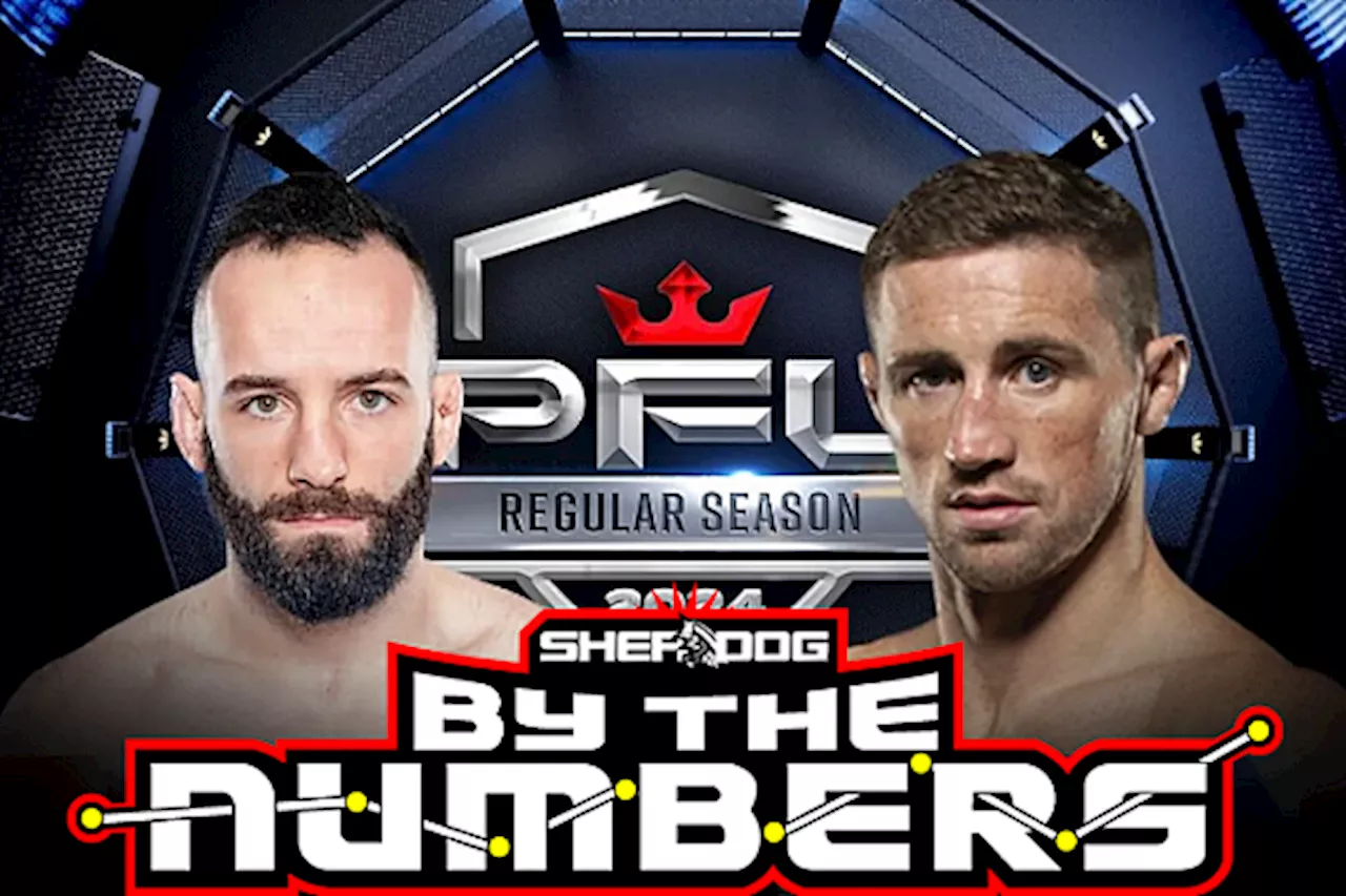By The Numbers: Brendan Loughnane vs. Pedro Carvalho
