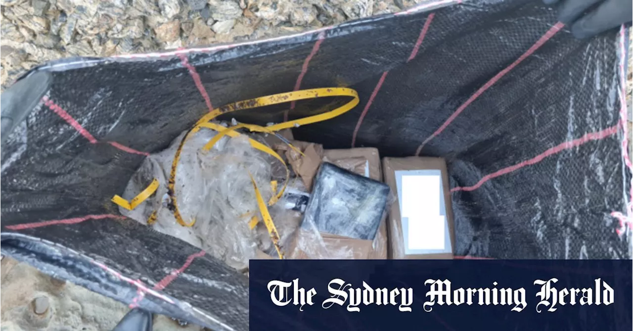 Man allegedly responsible for cocaine bricks on NSW beaches arrested